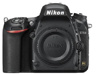 Nikon D750 camera for bird photography