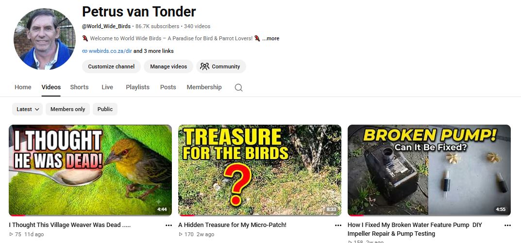 YouTube channel Petrus van Tonder birding