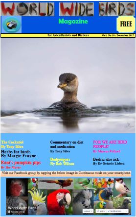 World Wide Birds magazine December edition