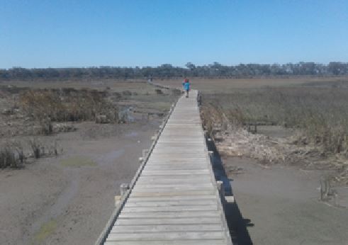 Geelbek Western Cape birding walkway
