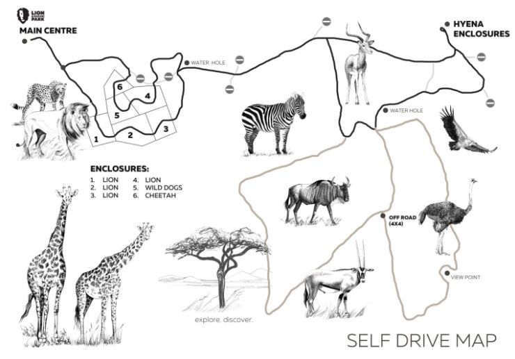 Lion And Safari Park for birding