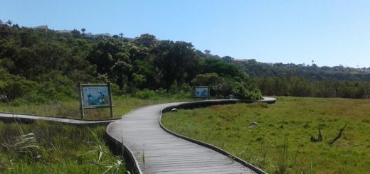 Nahoon Estuary Nature Reserve for birding trail
