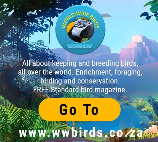Magazine about birds