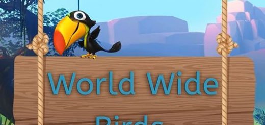 pdf bird magazine