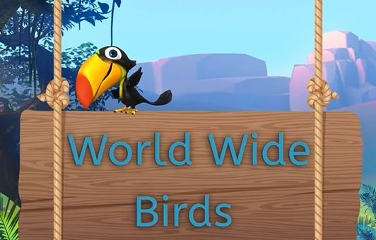 pdf bird magazine