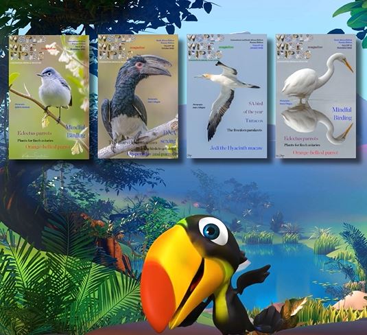 pdf bird magazine