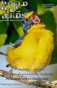 Bird magazine archives 2020