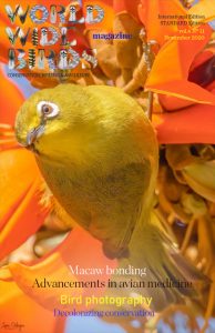 Bird magazine archives 2020