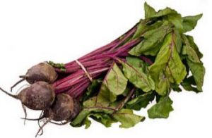 Read more about the article Beetroot for birds: Raw or Cooked, Leaves, Recipe