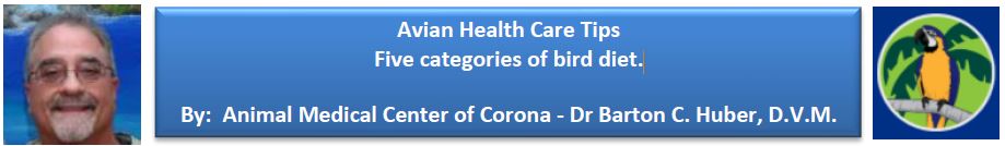 Infographic Avian Health Care Tips Five categories of bird diet