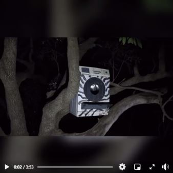 Owl rescue centre rescue video
