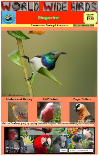 World Wide birds magazine Volume 2 No 2 - October 2018