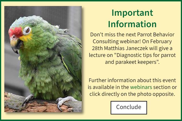 Parrot Behavior Consulting next webinar