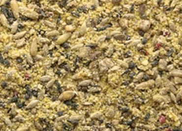 what do budgies eat dry food mix