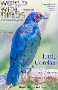 Word Wide birds magazine South Africa May 2021
