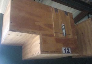 Read more about the article Parrot nest inspection