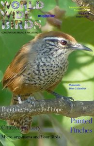 Word Wide birds magazine cover International August 2021
