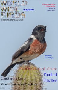 Word Wide birds magazine cover South Africa August 2021