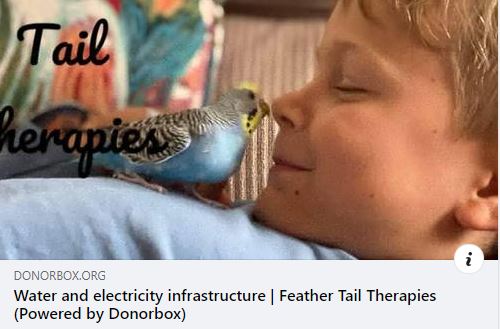 Feather Tail Therapies