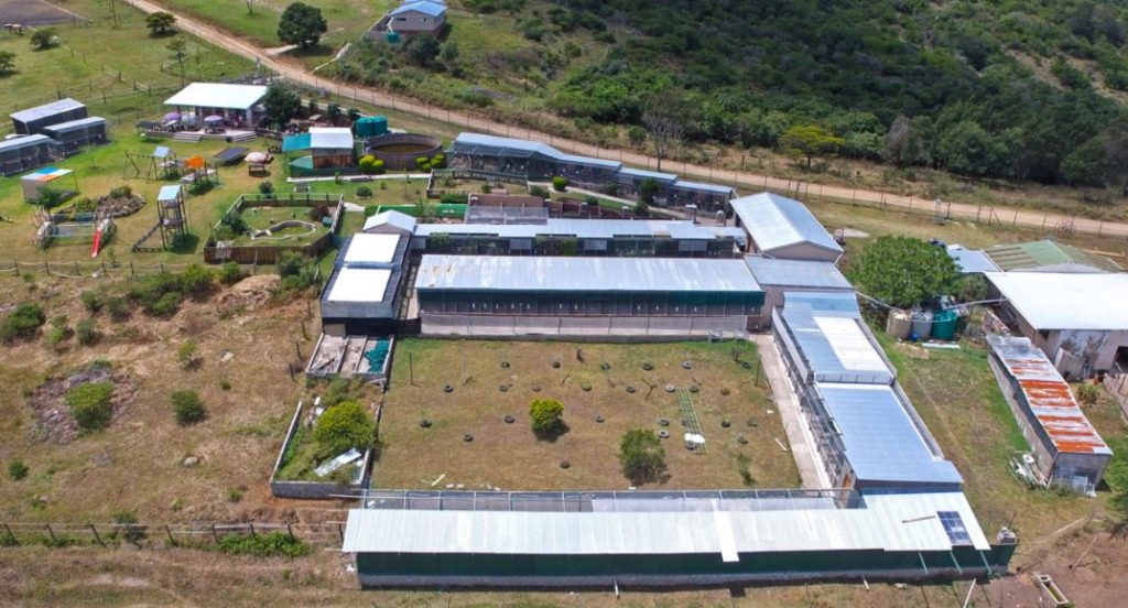 Lindale Farm South Africa