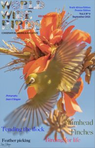 Word Wide birds magazine cover South Africa September 2021