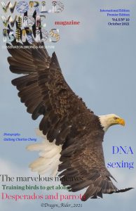 Word Wide birds magazine cover International October 2021