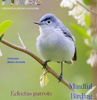 Bird magazine vol5 no11