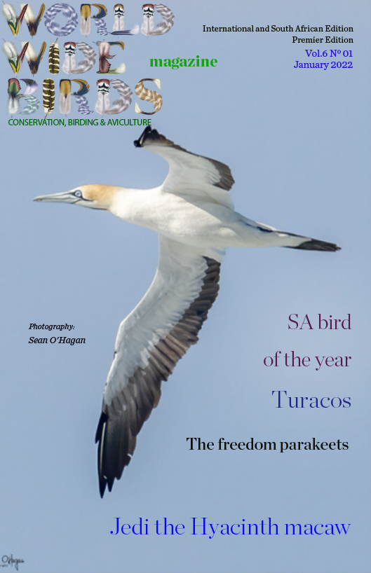 Word Wide birds magazine cover Inter and SA January 2022