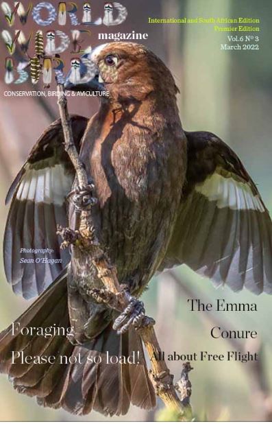 Bird magazine March 2022