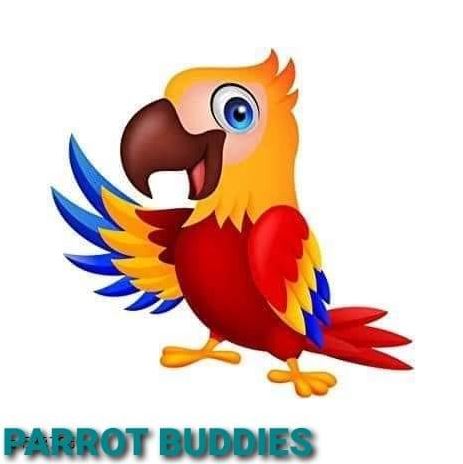 Parrot Buddies