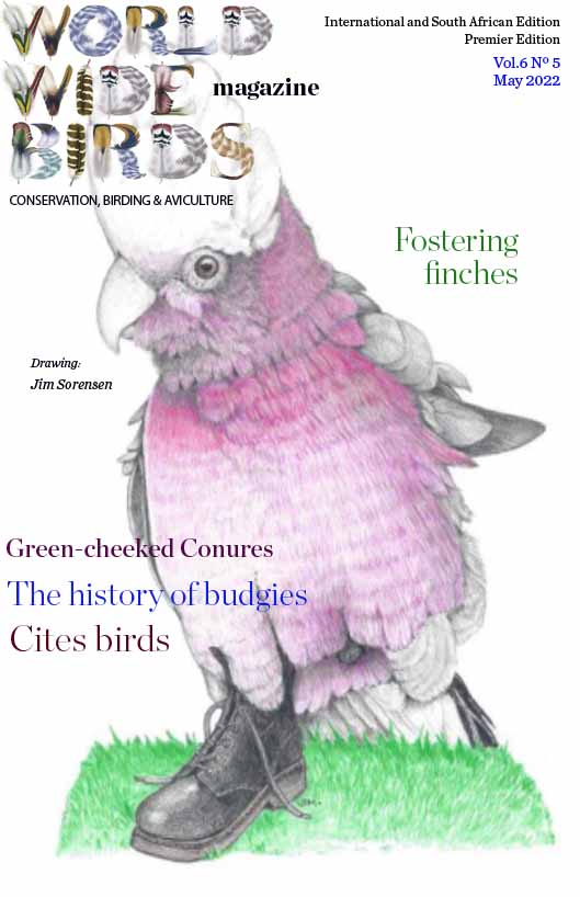 Pdf bird magazine Vol6No5