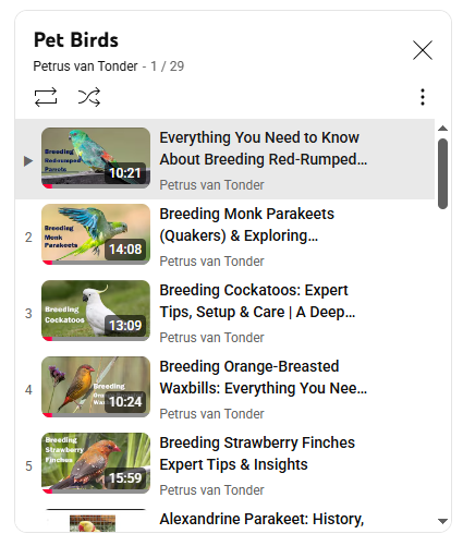 YouTube Pet birds playlist