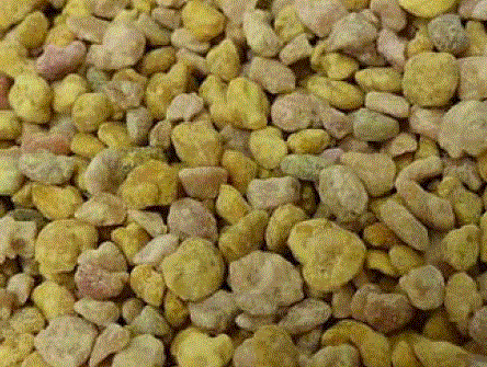 Is bee pollen good for birds
