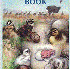 The New Incubation Book