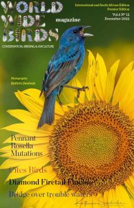 Read more about the article Pdf bird magazine Vol6No12