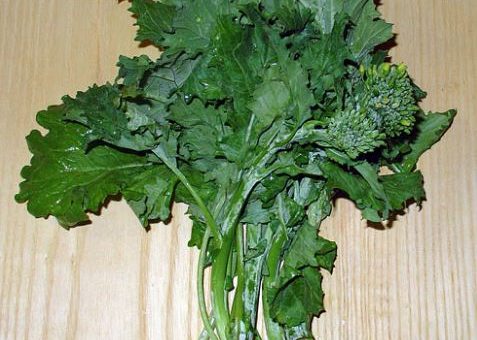 Can birds eat broccoli rabe rapini