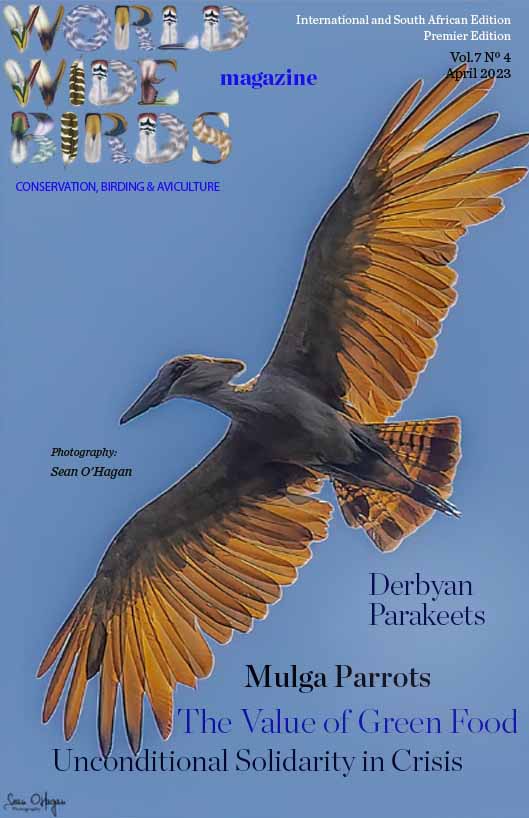 Pdf bird magazine Vol7 No4