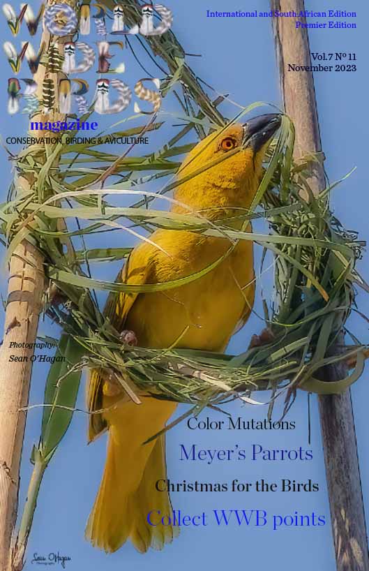 Pdf-bird-magazine-Vol7-No11