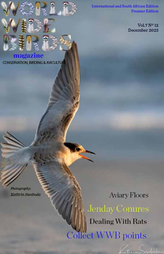 Pdf bird magazine Vol7 No12