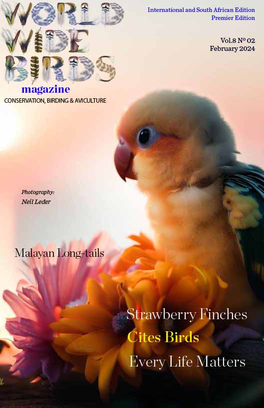 Pdf bird magazine Vol8 No2