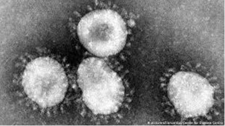 Micro-organisms in birds