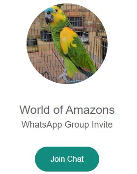 Amazons for sale
