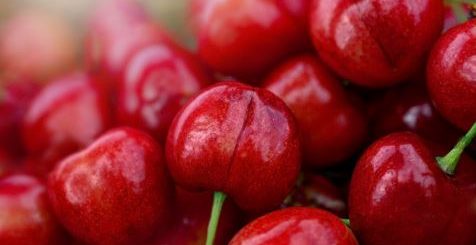 Can Parrots Eat Cherries