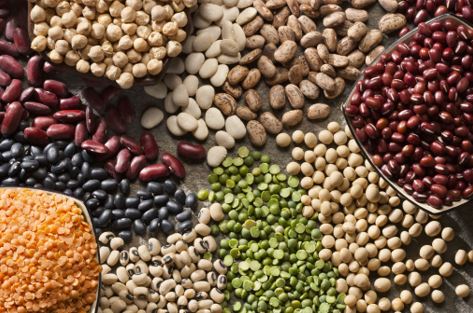 Can Parrots Eat Lentils