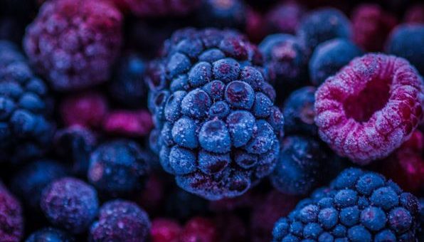 Can birds eat Blackberries