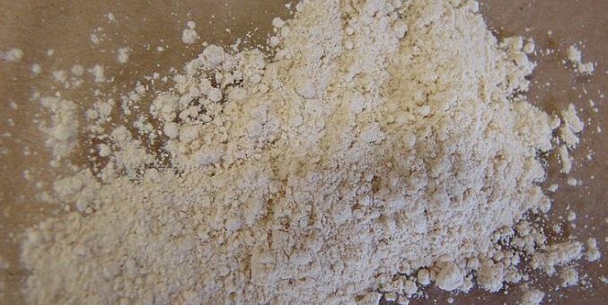 Can birds eat Maca powder
