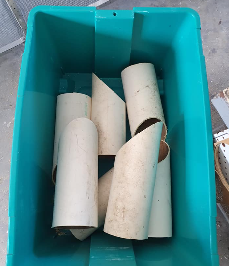 Breeding Black-faced Firefinches pipe nest