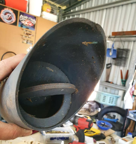 Breeding Black-faced Firefinches 