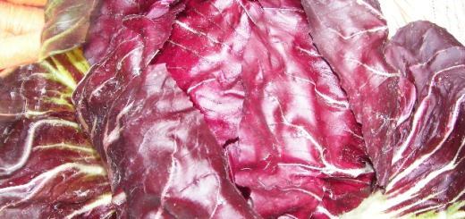 Can birds eat Radicchio