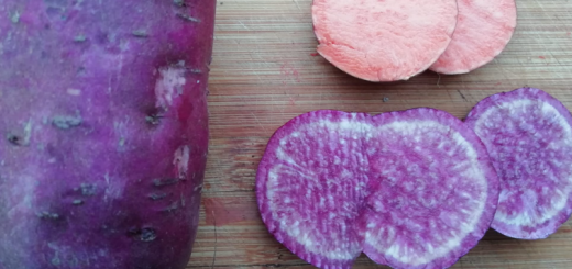 Can birds eat sweet potatoes